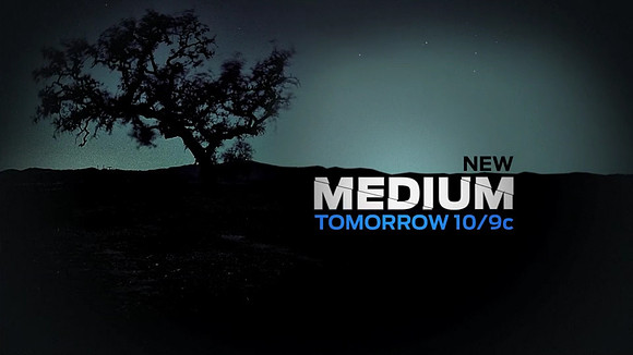Medium_30_v1_FinAudio (00812)