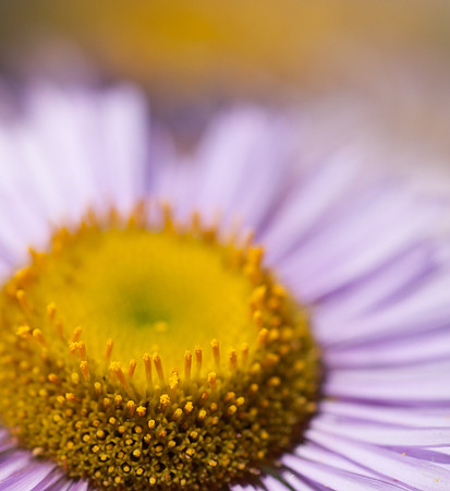 Botanic Garden 0510-14