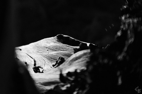 Angeles Crest 052012-2