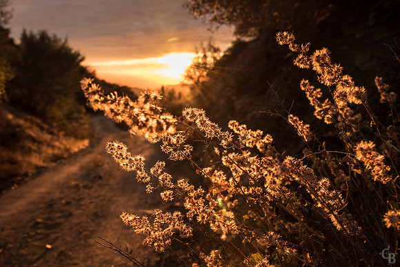 November Sunset-1