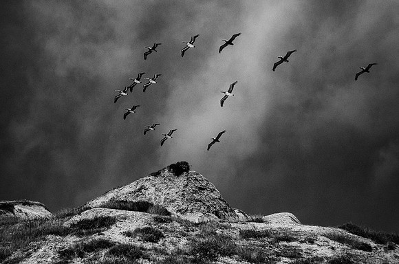 Flying High